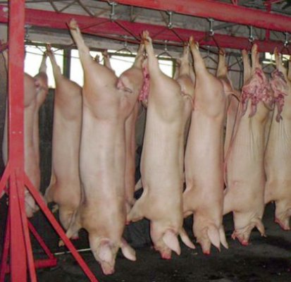 România vrea să exporte carne de porc în China